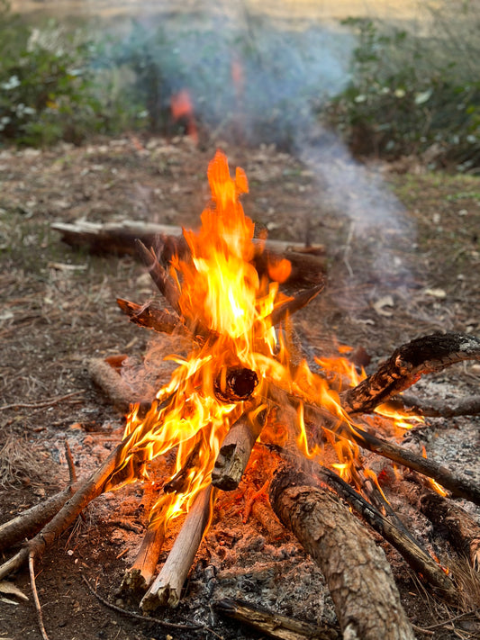 CAMPING - THE BASICS ON WHAT TO PACK