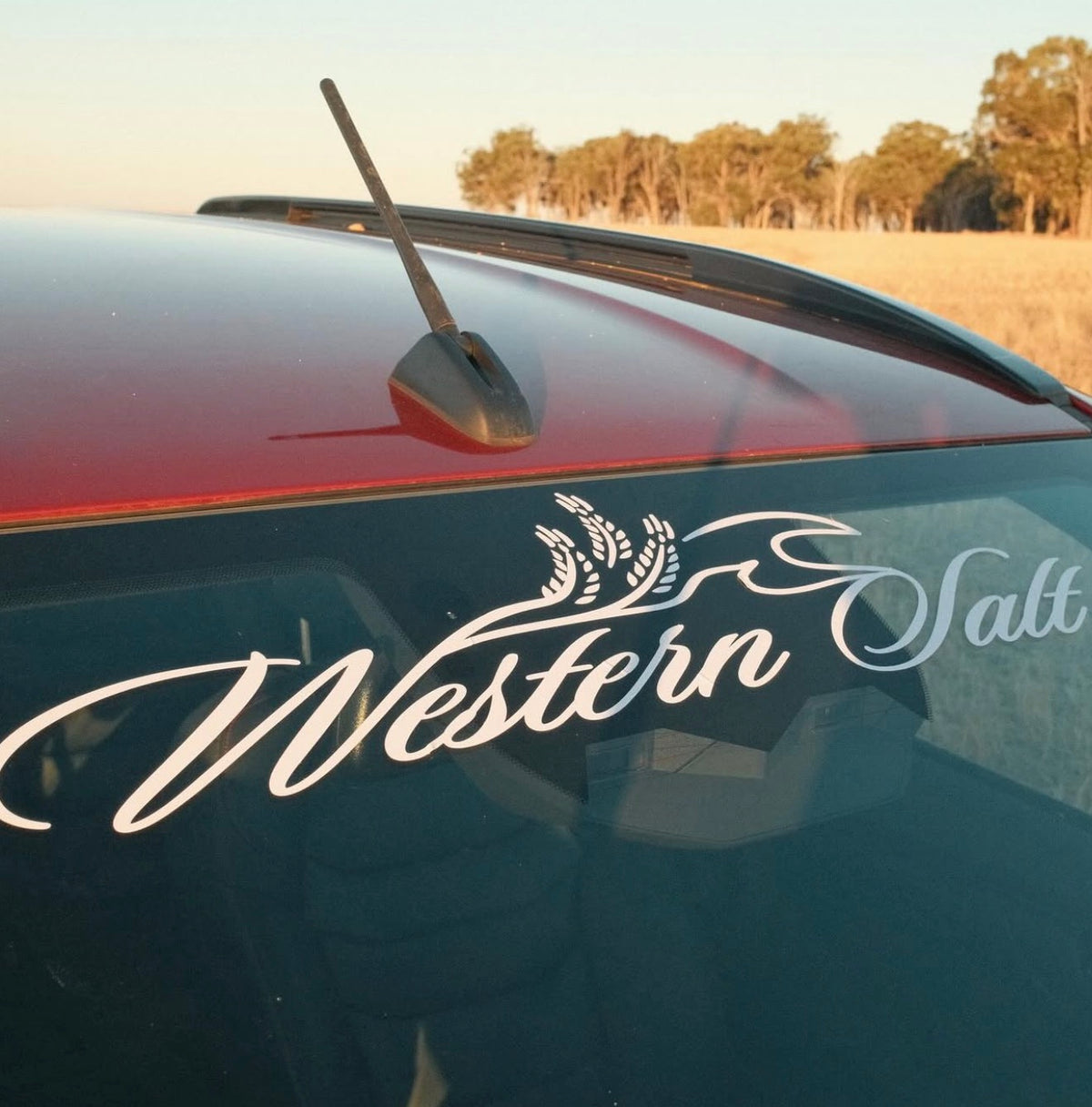 Premium Windscreen Banner